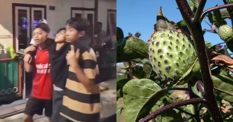 Instagram.com/loker.karanganyar/id.wikipedia.org